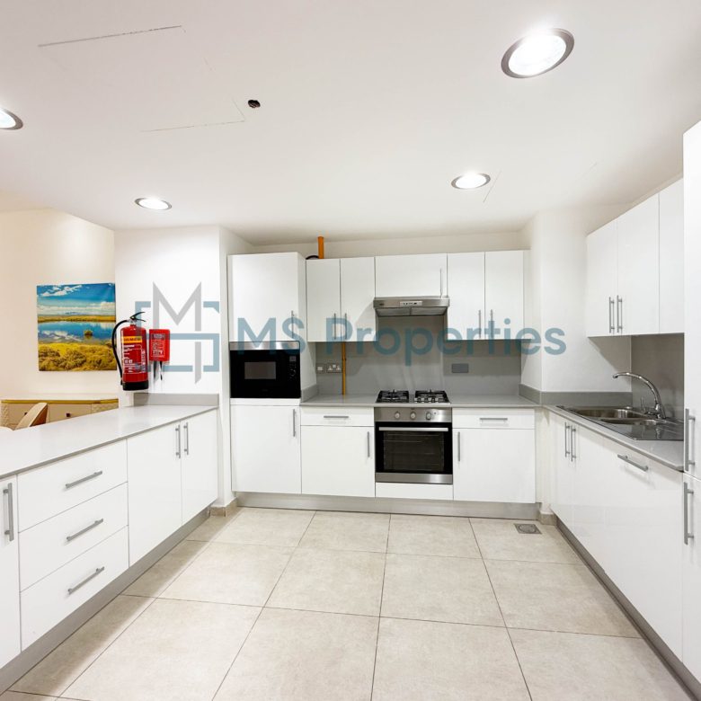 Luxury 1BHK Flat with Amazing View +Bills Included