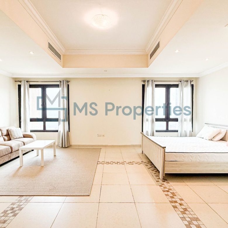 Contemporary Studio Apartment with Sea View