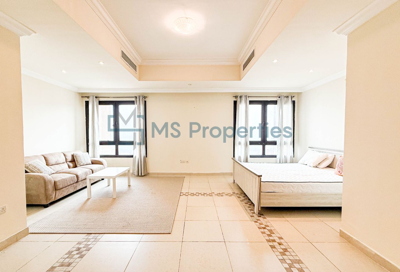 Contemporary Studio Apartment with Sea View