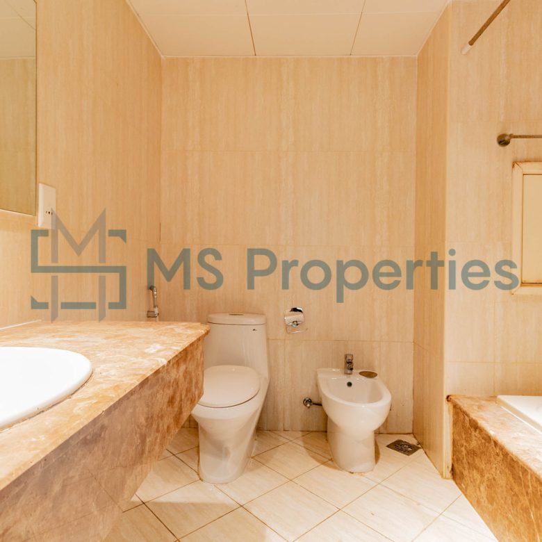 Charming 1BHK Apartment with Amazing View