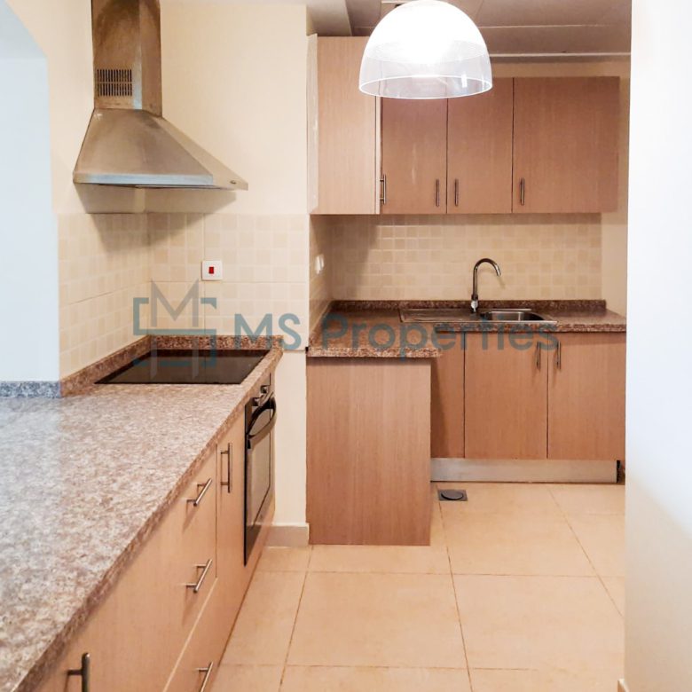 Beautiful 1BHK Apartment with Amazing View
