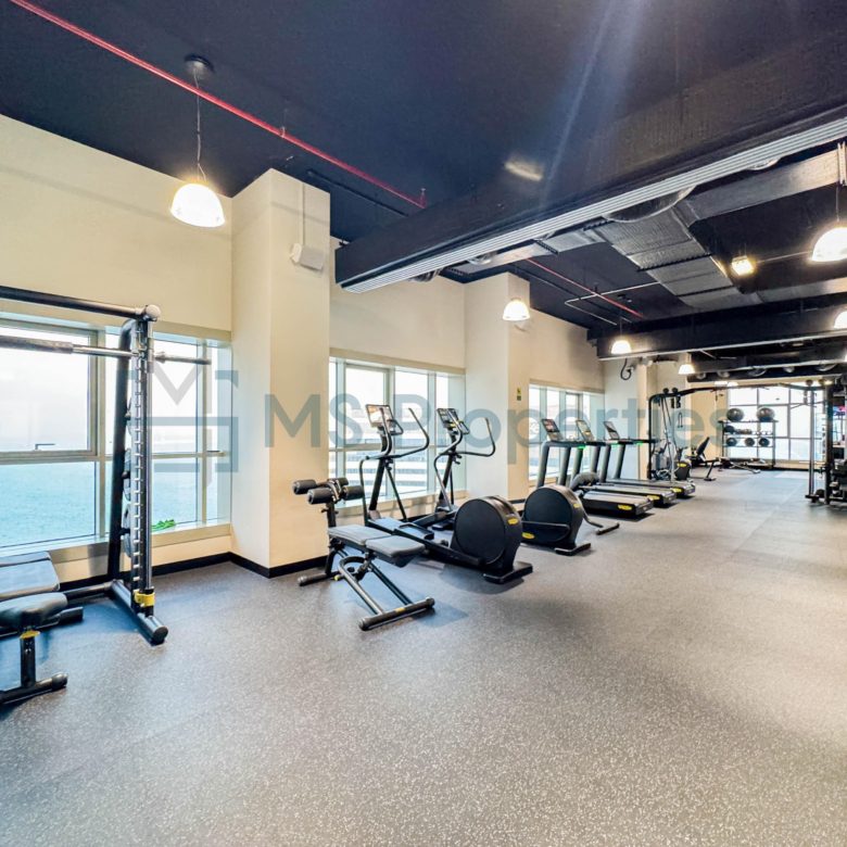 Elegant 1BHK Apartment with Stunning Balcony