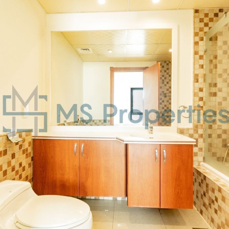Amazingly Furnished | 1 BHK Apartment | Amazing View