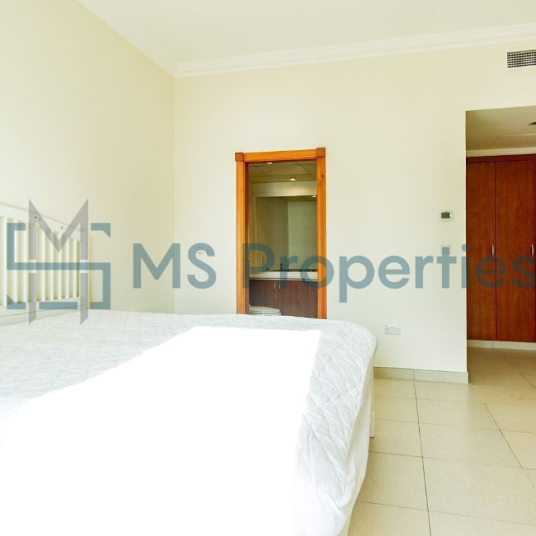 Amazingly Furnished | 1 BHK Apartment | Amazing View
